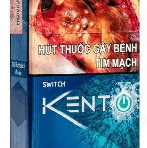 Vietnamese Kent Switch – Adult Guide [strict-source:06c5bc9a35f82e4f]