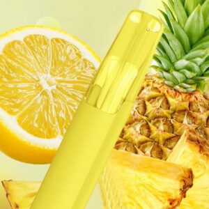 Taste Boosted DASH Lemon Pineapple – Adult Guide [strict-source:31429c8f3b559b64]