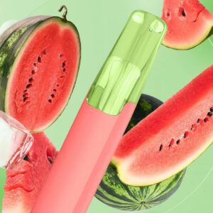 Taste Boosted DASH Lush Ice – Adult Guide [strict-source:4497149c255b6e20]