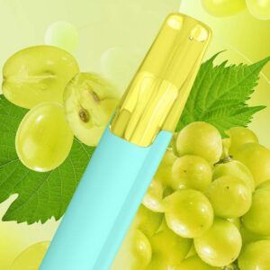 Taste Boosted DASH Green Grape – Adult Guide [strict-source:885068cd4ccde152]