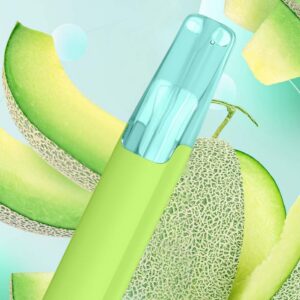 Taste Boosted DASH Sweet Honeydew – Adult Guide [strict-source:90f019055f3123f5]
