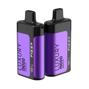 Fizzy Luxury 15000 Puffs Disposable Vape – Adult Guide [strict-source:ef761cec9d4987d1]